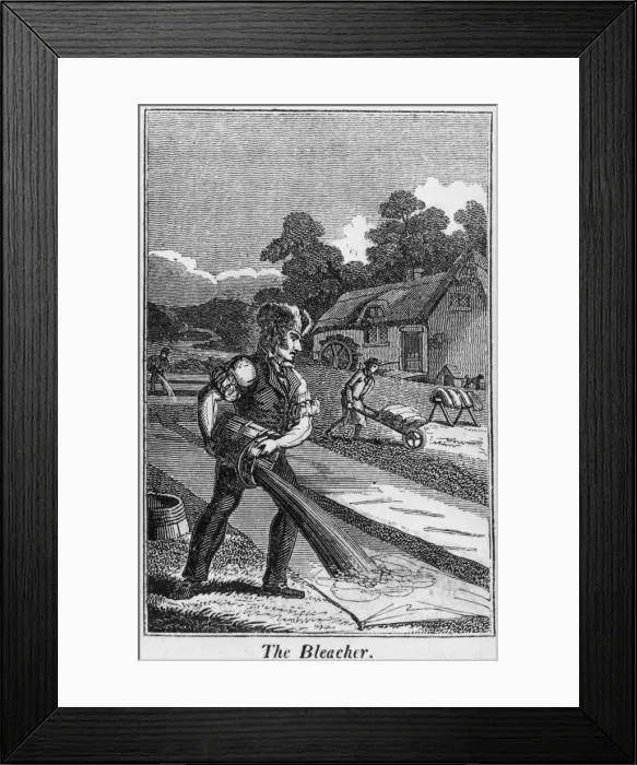 Framed Print : Bleacher At Work Framed Print : Bleacher At Work