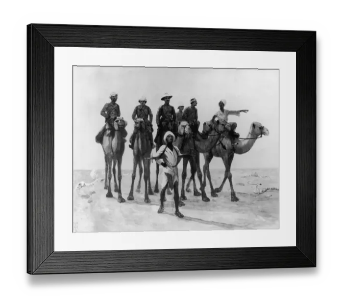 Framed Print : Pressmen On Camels Framed Print : Pressmen On Camels
