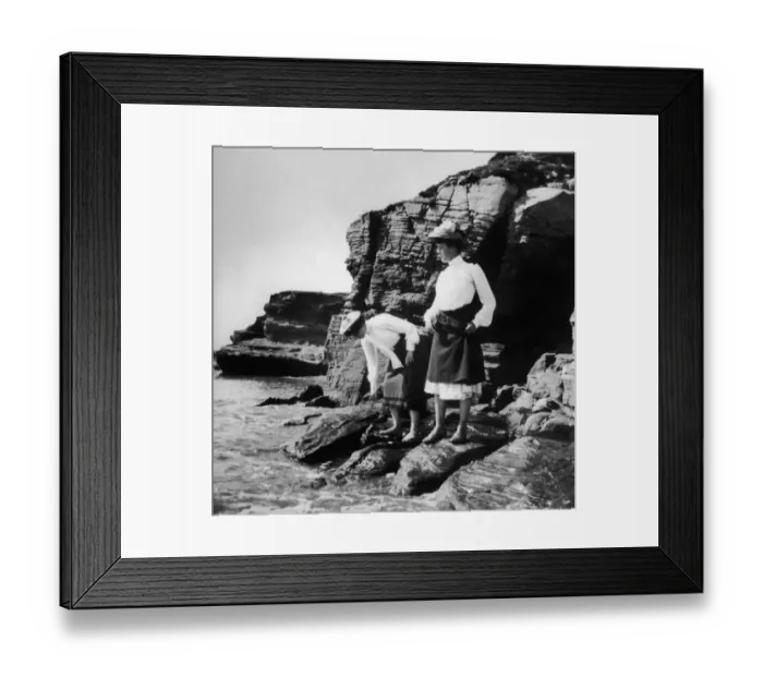 Framed Print : Testing The Water Framed Print : Testing The Water