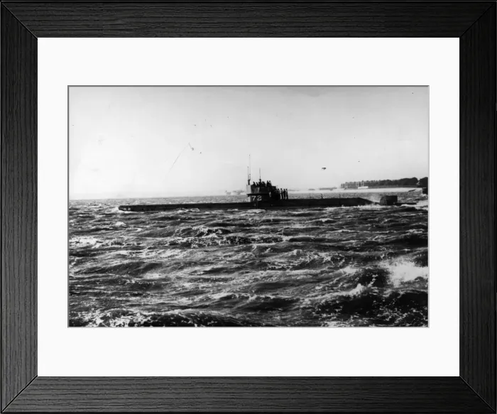 Framed Print : Submarine Trip Framed Print : Submarine Trip