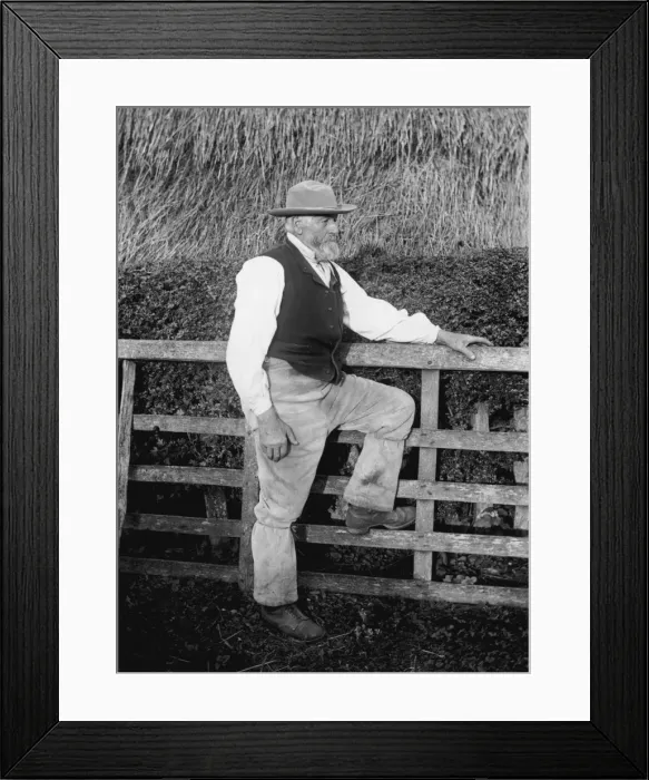 Framed Print : Farm Worker Framed Print : Farm Worker