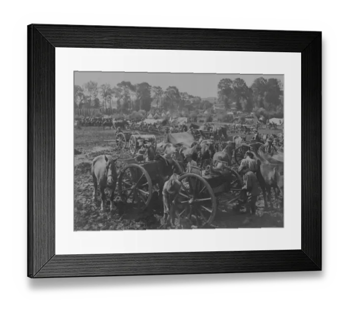 Framed Print : Setting Up Camp