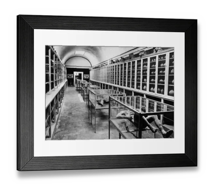 Framed Print : Pompeii Museum Framed Print : Pompeii Museum