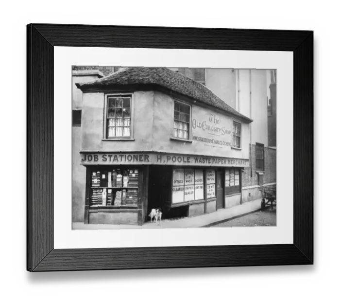 Framed Print : Curious Dog