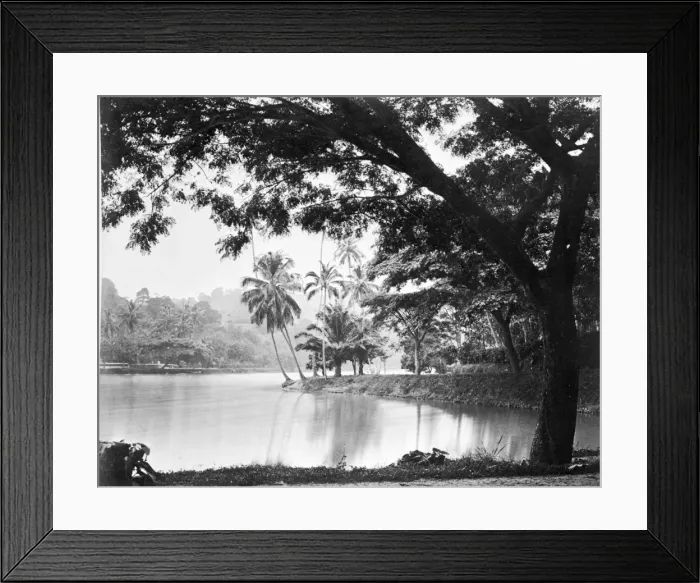 Framed Print : Kandy Lake Framed Print : Kandy Lake