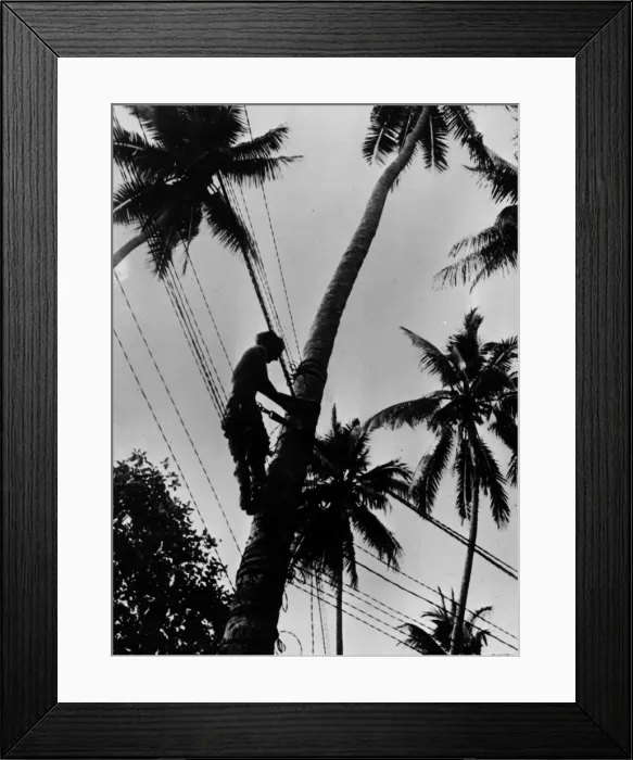 Framed Print : Vital Communications Framed Print : Vital Communications