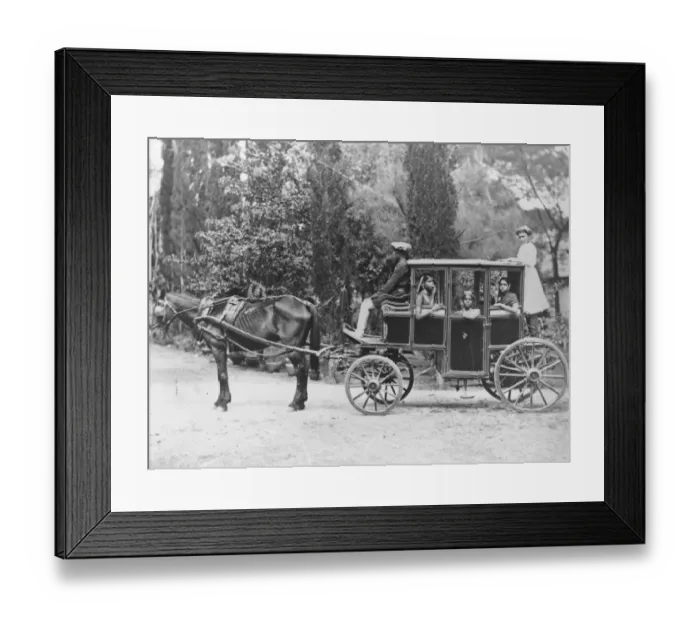 Framed Print : Carriage In India Framed Print : Carriage In India