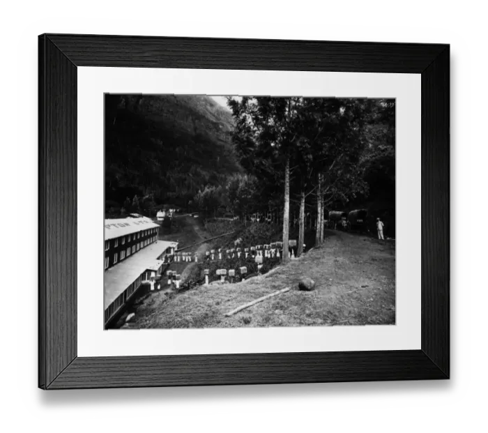 Framed Print : Tea Boxes. circa 1880: Workers loading boxes of tea into carts at Liptons Framed Print : Tea Boxes. circa 1880: Workers loading boxes of tea into carts at Liptons