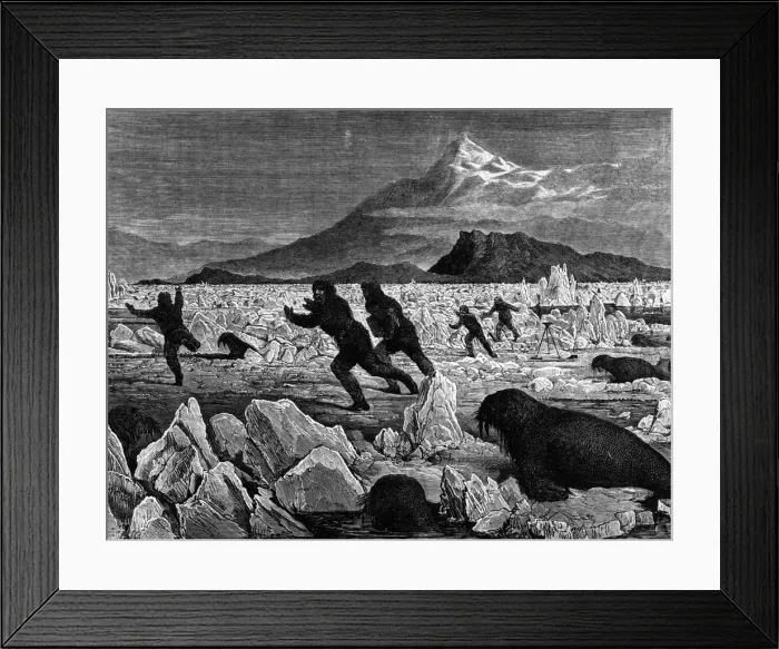 Framed Print : Sea Monsters ? Framed Print : Sea Monsters ?