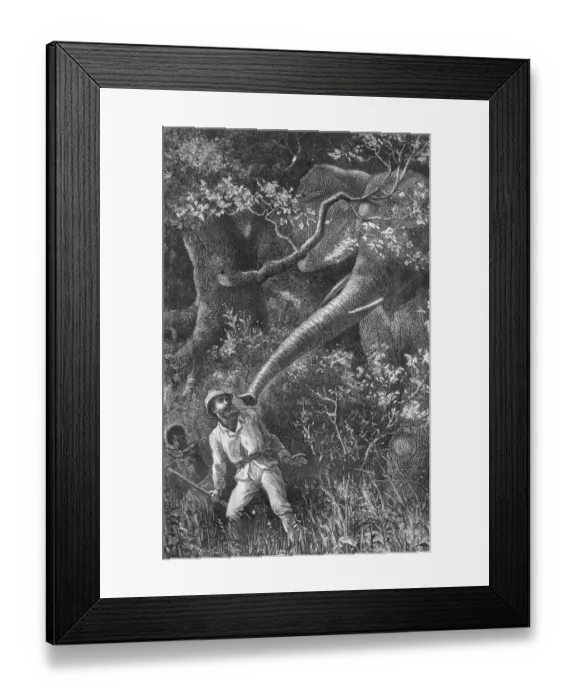 Framed Print : Wild Elephant Framed Print : Wild Elephant