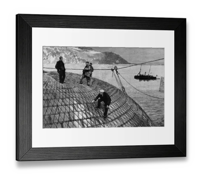 Framed Print : Arctic Ballooning Framed Print : Arctic Ballooning