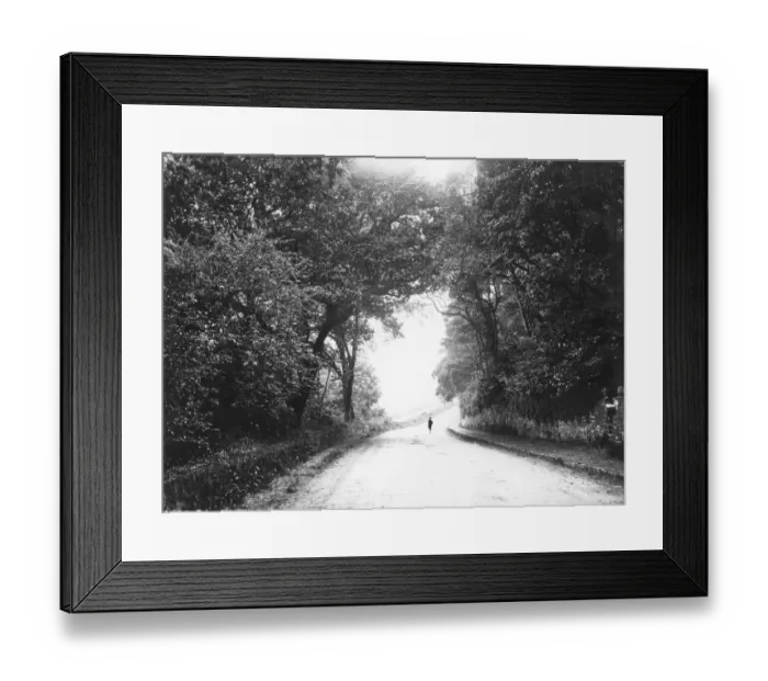 Framed Print : Country Road