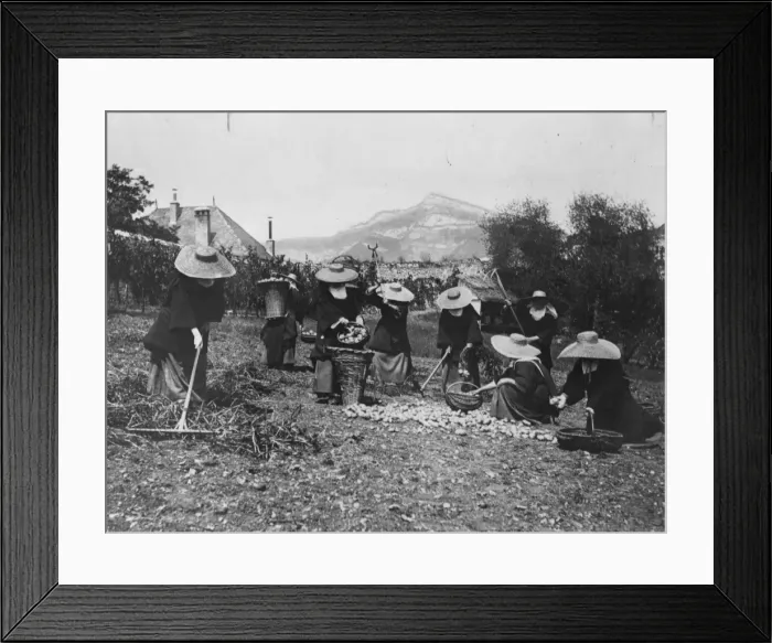 Framed Print : Carmelites At Work Framed Print : Carmelites At Work