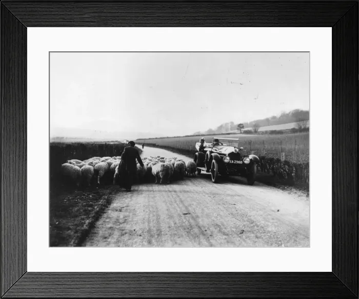 Framed Print : Sheep Jam. circa 1925: A herd of sheep on an English country road Framed Print : Sheep Jam. circa 1925: A herd of sheep on an English country road