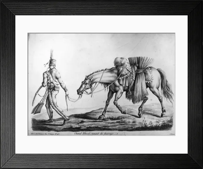 Framed Print : Injured Horse