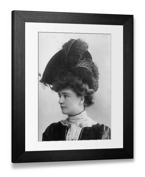 Framed Print : Ostrich Feathers Framed Print : Ostrich Feathers