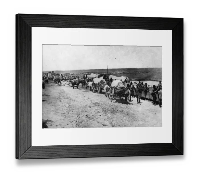 Framed Print : Bulgarian Army Framed Print : Bulgarian Army