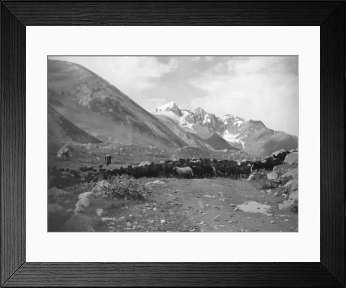 Framed Print : Frosty Caucasus Framed Print : Frosty Caucasus