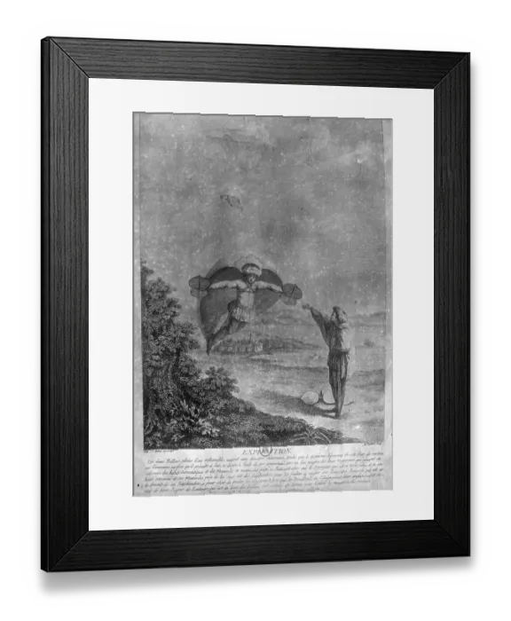 Framed Print : Kite Design Framed Print : Kite Design