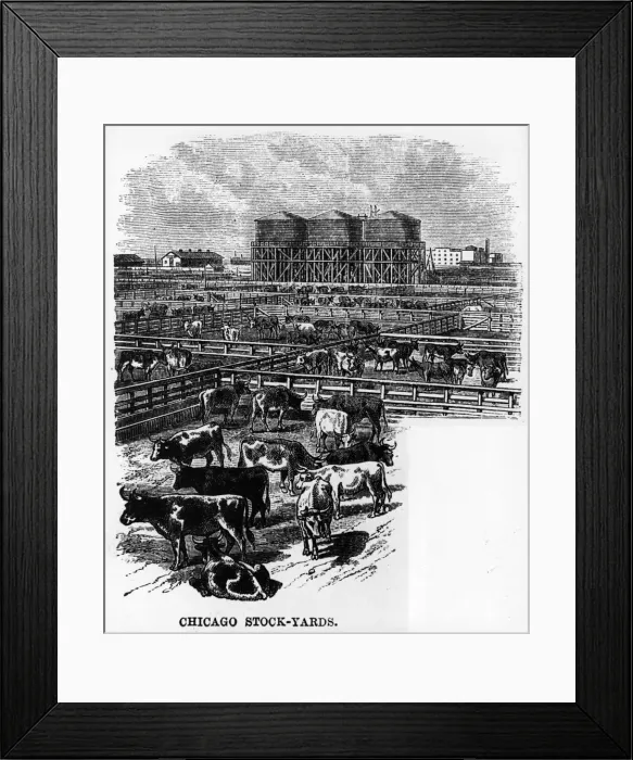 Framed Print : In the Corral