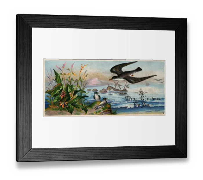 Framed Print : Merry Christmas Framed Print : Merry Christmas