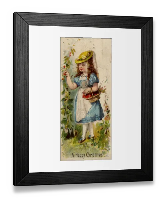Framed Print : Fruit Picker Framed Print : Fruit Picker