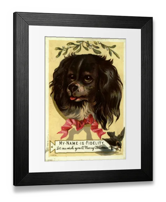 Framed Print : My Name Is Fidelity
