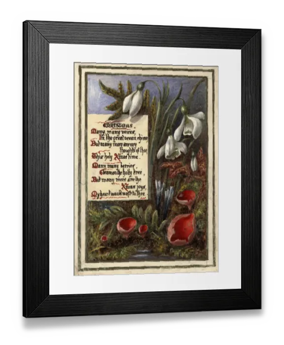 Framed Print : Snowdrops. circa 1890: Snowdrops feature on this handpainted Christmas card