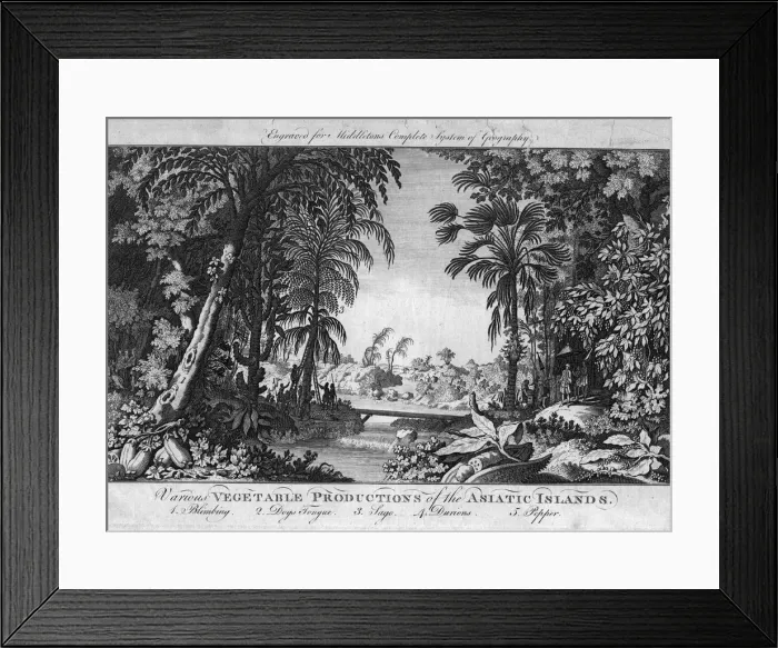 Framed Print : Asiatic Vegetation Framed Print : Asiatic Vegetation