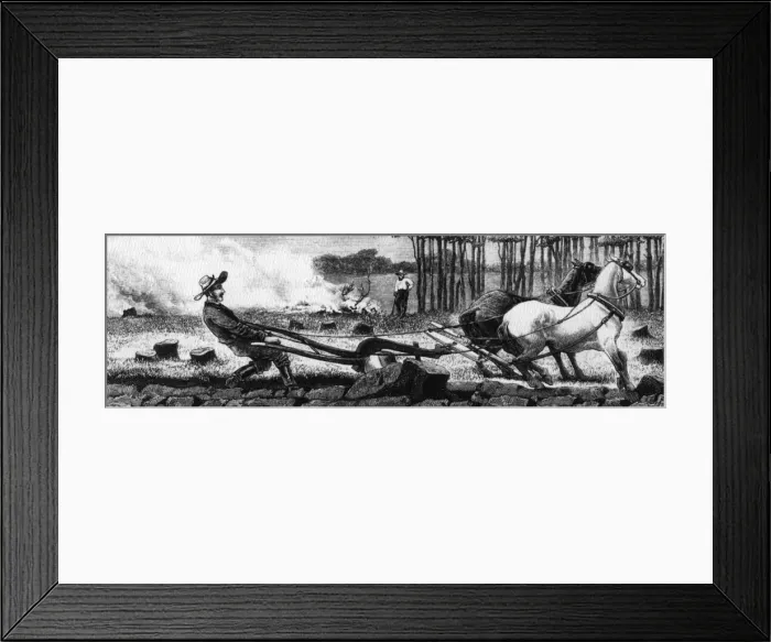 Framed Print : Canuck Plough