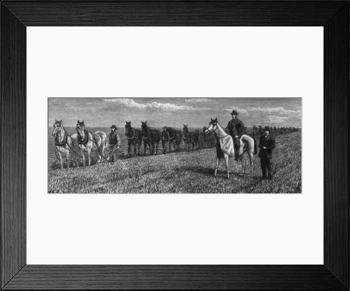 Framed Print : Red River Ploughs Framed Print : Red River Ploughs