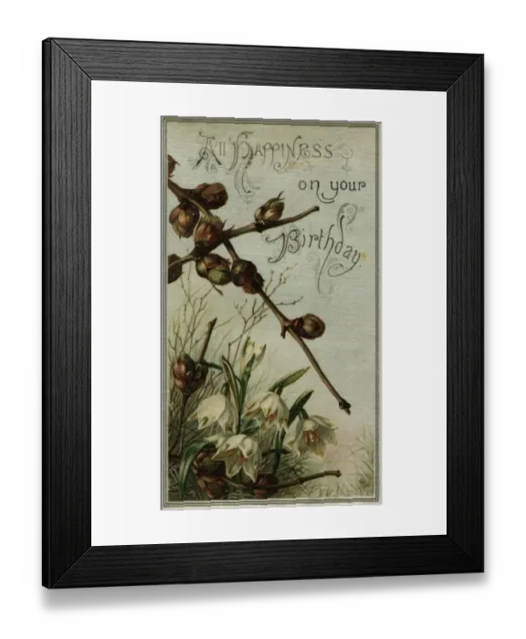 Framed Print : Birthday Wishes Framed Print : Birthday Wishes