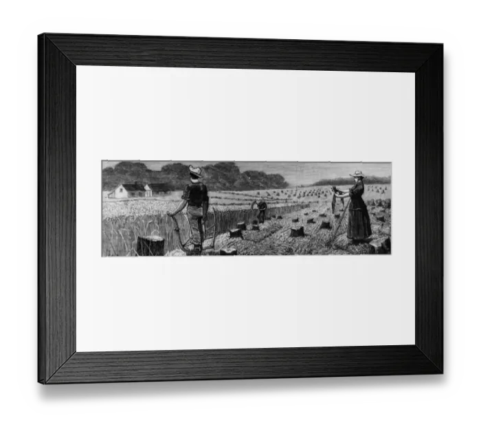 Framed Print : Canuck Harvest Framed Print : Canuck Harvest