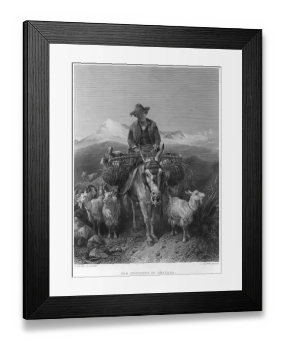 Framed Print : Goatherd. circa 1850: A Spanish goatherd from Granada on his donkey Framed Print : Goatherd. circa 1850: A Spanish goatherd from Granada on his donkey