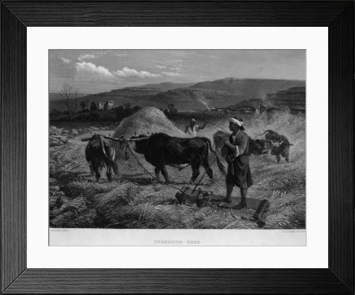 Framed Print : Hay Baling Framed Print : Hay Baling