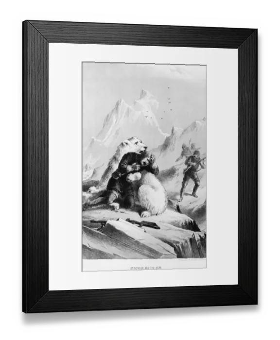Framed Print : Polar Bear Attack