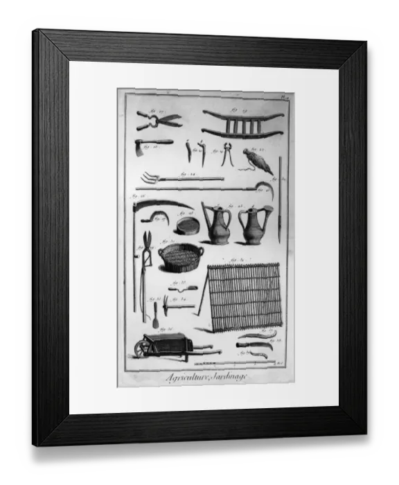 Framed Print : Agricultural Tools Framed Print : Agricultural Tools