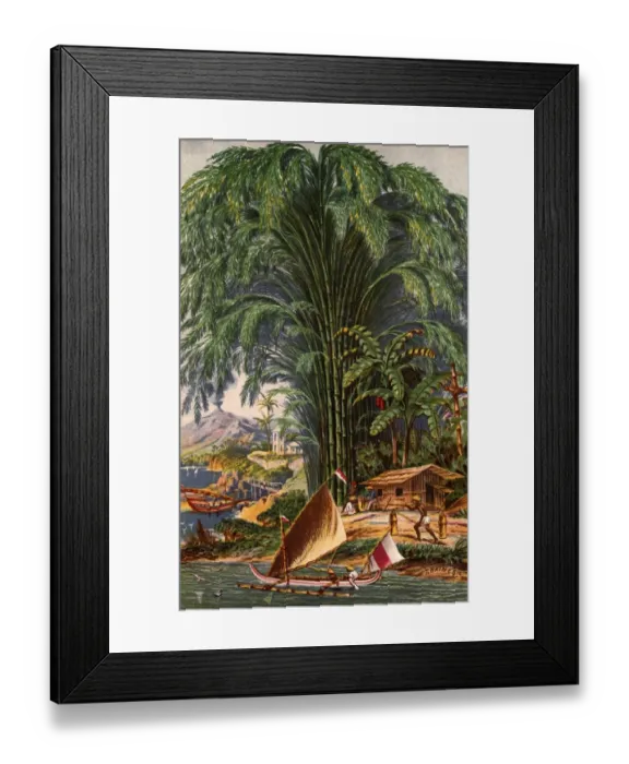 Framed Print : Bamboo Plant Framed Print : Bamboo Plant
