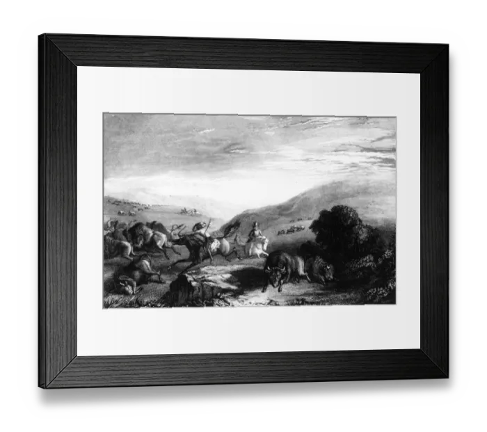 Framed Print : Buffalo Chase Framed Print : Buffalo Chase
