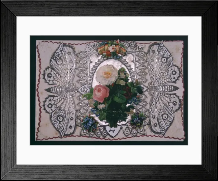 Framed Print : Lace Wing Butterfly Framed Print : Lace Wing Butterfly