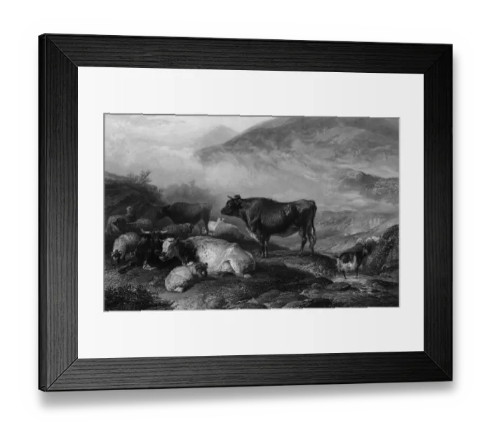 Framed Print : Grazing Cattle Framed Print : Grazing Cattle