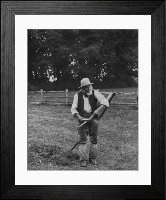 Framed Print : The Mower. 1899: An elderly mower sharpens his blade Framed Print : The Mower. 1899: An elderly mower sharpens his blade