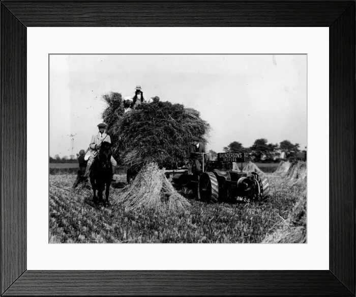 Framed Print : Corn Harvest