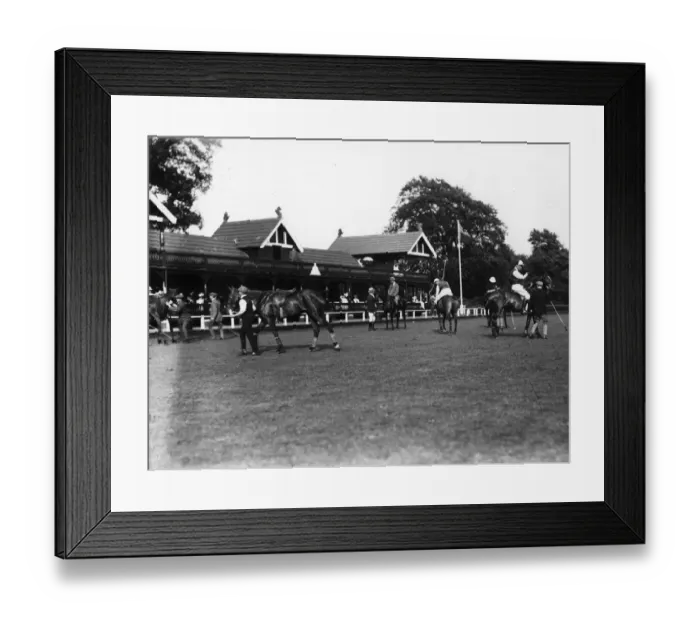 Framed Print : Changing Ponies Framed Print : Changing Ponies