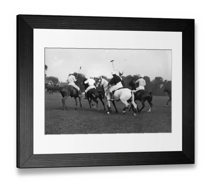 Framed Print : Polo Ponies