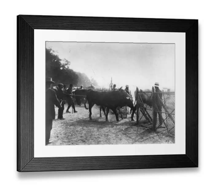 Framed Print : Siege Preparations Framed Print : Siege Preparations