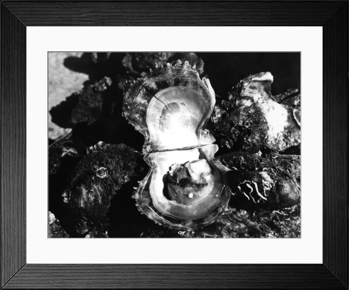 Framed Print : Pearl Find Framed Print : Pearl Find