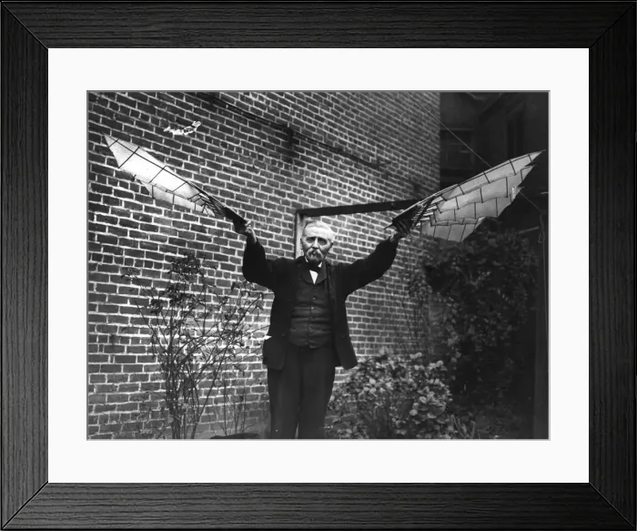 Framed Print : Flying Wings Framed Print : Flying Wings