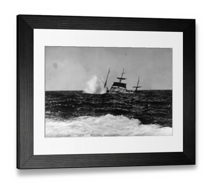 Framed Print : Neutral Victim Framed Print : Neutral Victim