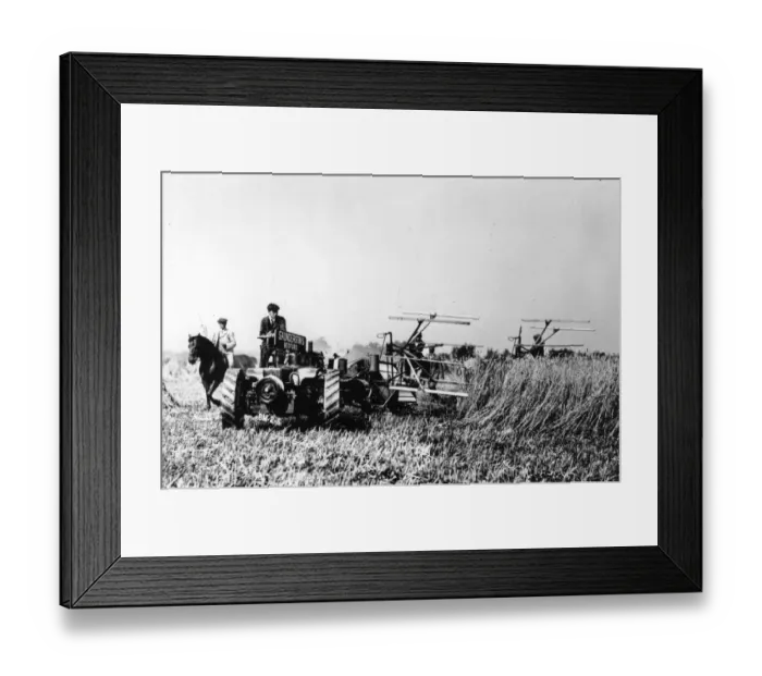 Framed Print : Harvester. September 1907: Mechanical reapers working in a field Framed Print : Harvester. September 1907: Mechanical reapers working in a field